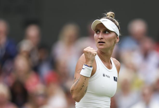 任何一个细 任何一个细