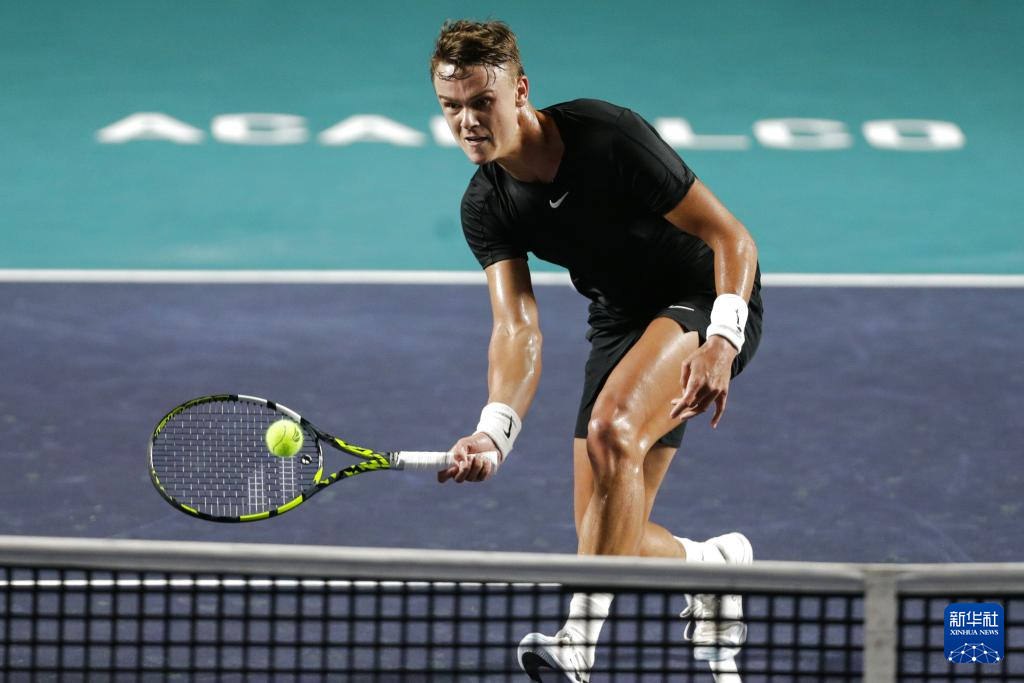 他的篮板球 他的篮板球